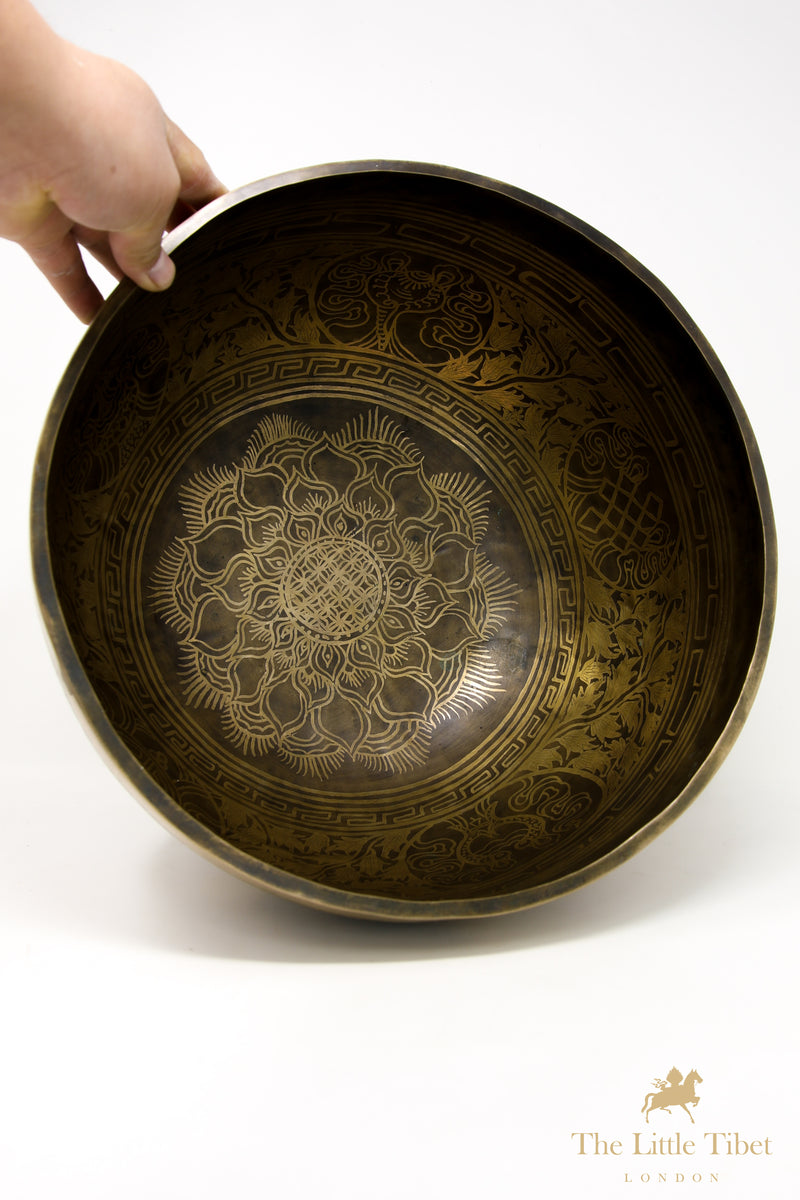 Tibetan Lotus Flower Mandala Singing Bowl for Meditation - TALL-B