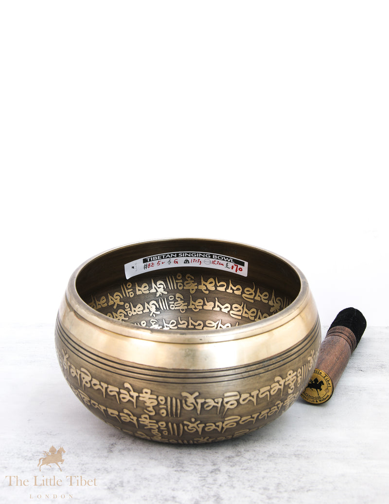 White Conch Tibetan Singing Bowl for Meditation - BZ52