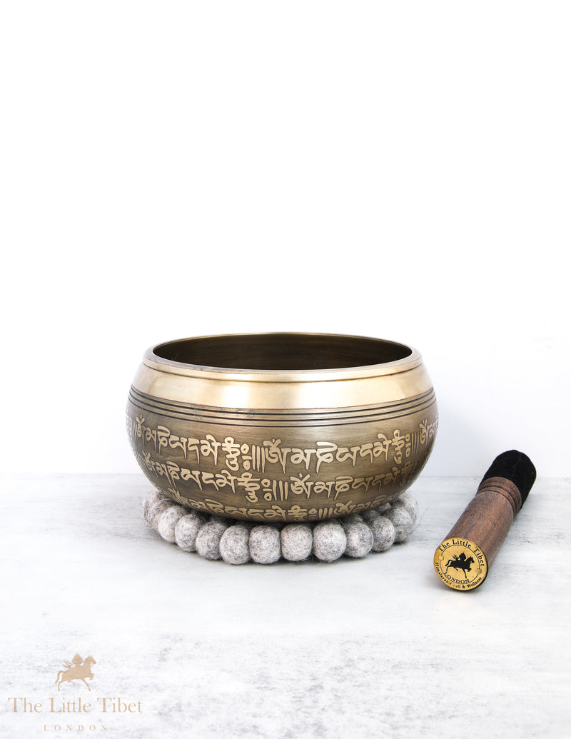 White Conch Tibetan Singing Bowl for Meditation - BZ52
