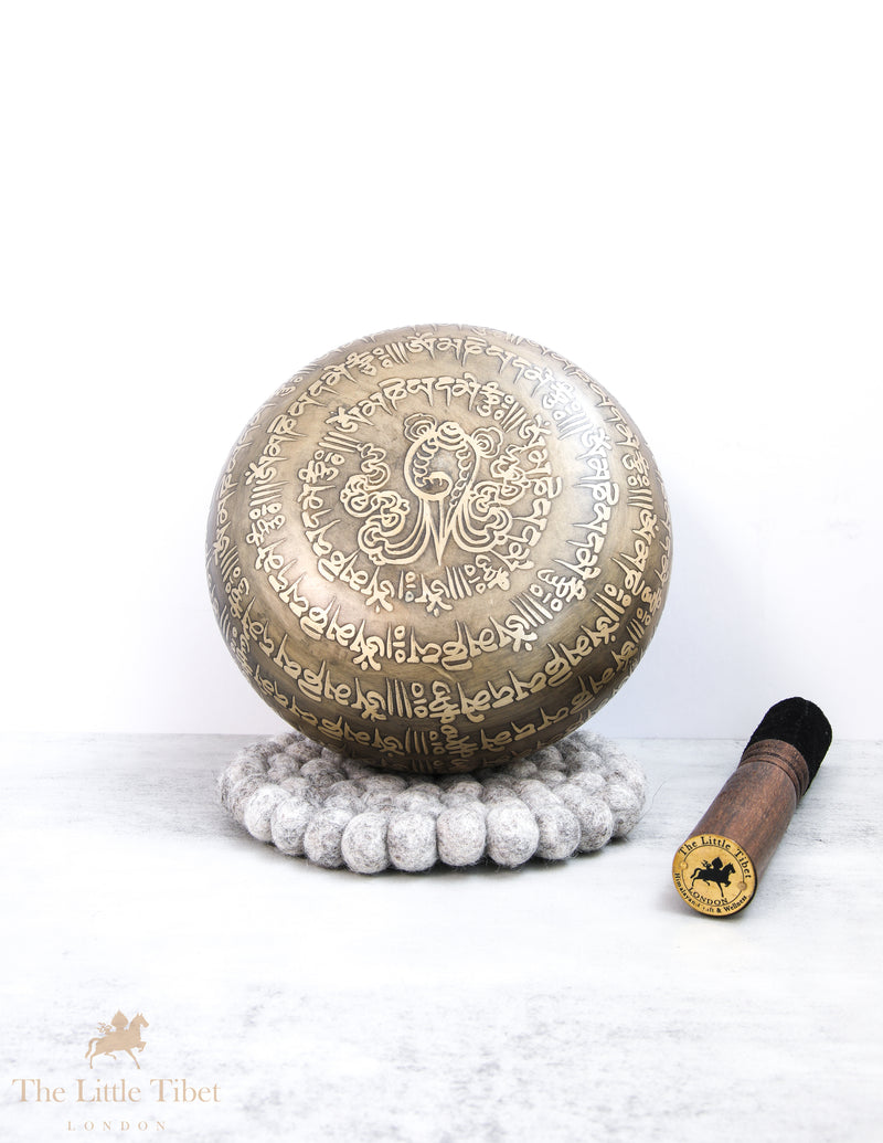 White Conch Tibetan Singing Bowl for Meditation - BZ52