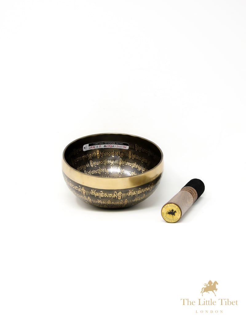 Third Eye of Buddha Singing Bowl for Healing and Meditation - A76