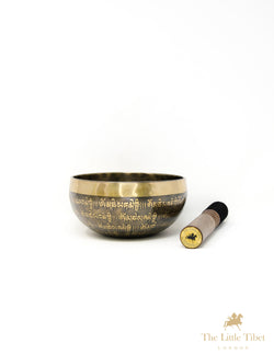 Third Eye of Buddha Singing Bowl for Healing and Meditation - A76