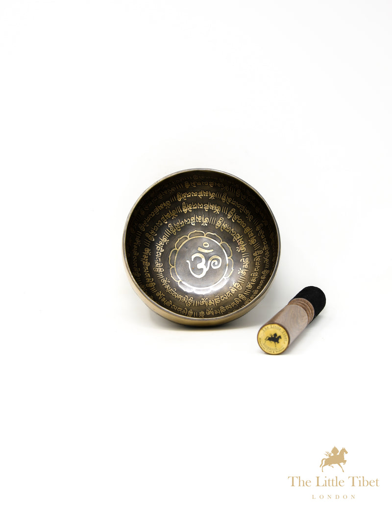 Third Eye of Buddha Singing Bowl for Healing and Meditation - A76