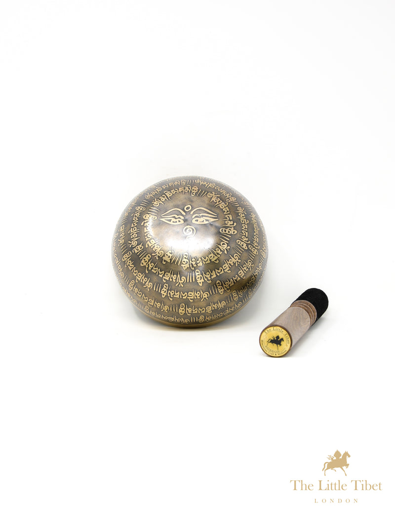 Third Eye of Buddha Singing Bowl for Healing and Meditation - A76