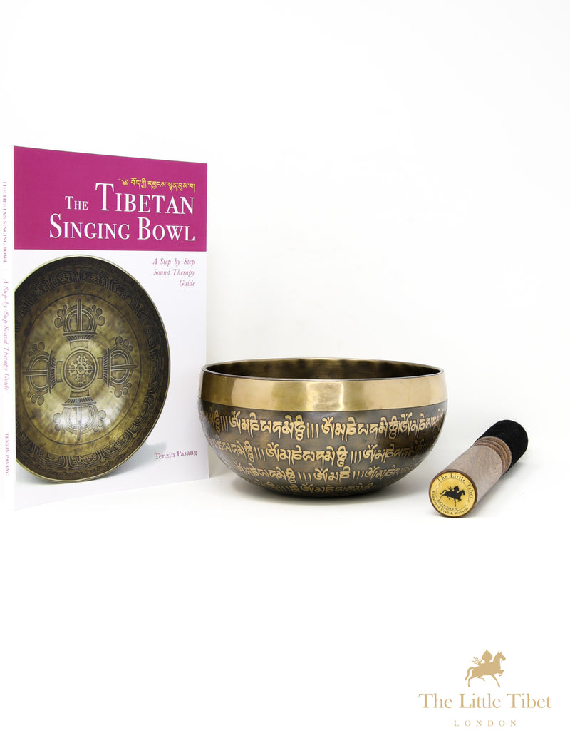 Third Eye of Buddha Singing Bowl for Healing and Meditation - A76