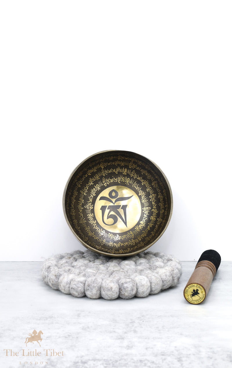 OM Tibetan Singing Bowl for Energy Healing- EC61