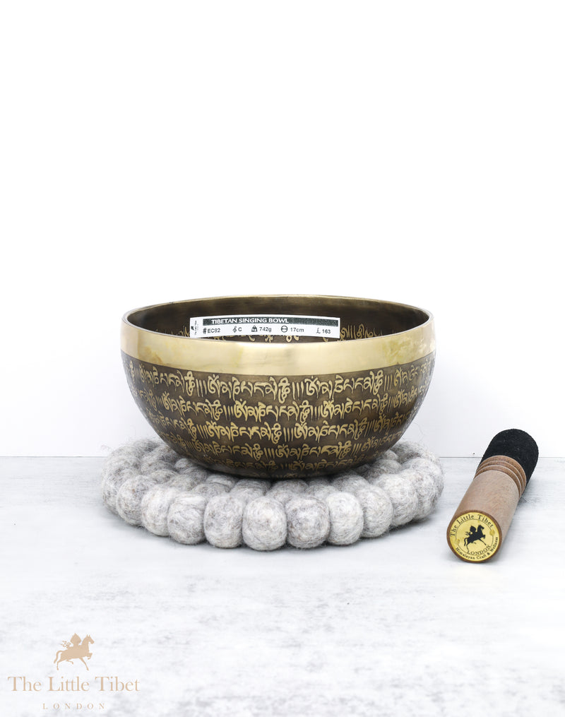 Tibetan Iconographies Singing Bowl for Reiki Healing- EC82