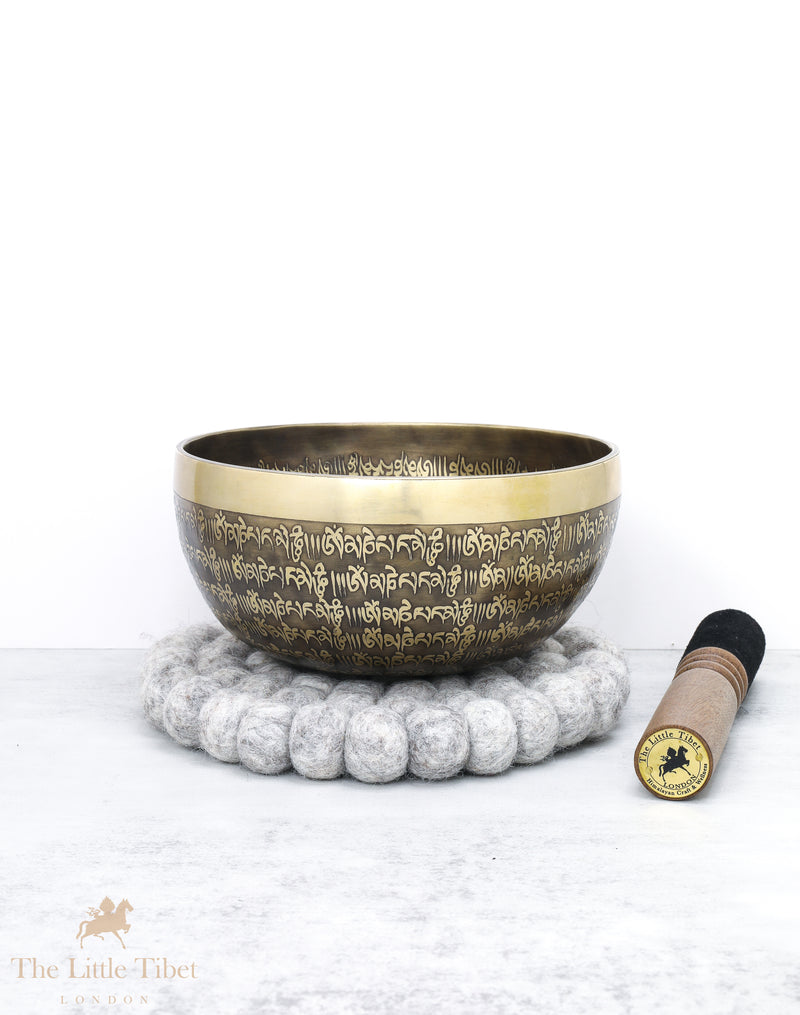 Tibetan Iconographies Singing Bowl for Reiki Healing- EC82