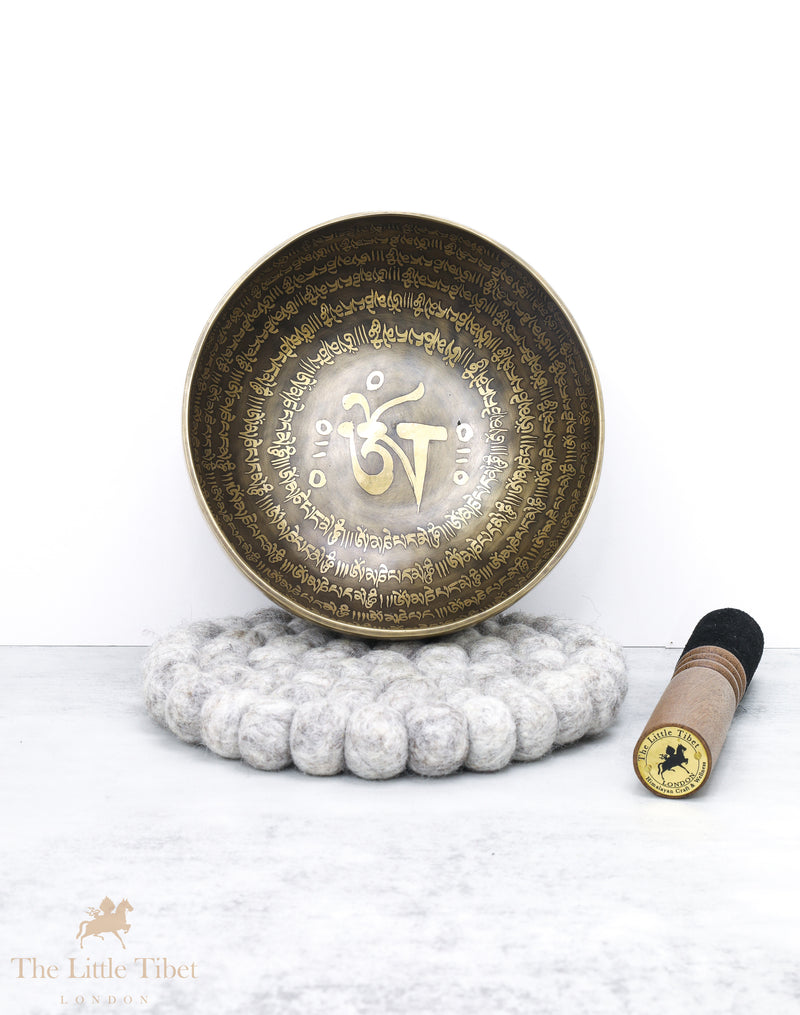 Tibetan Iconographies Singing Bowl for Reiki Healing- EC82