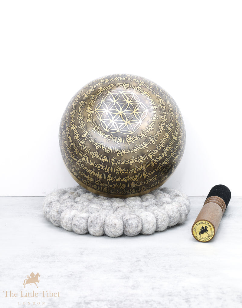 Tibetan Iconographies Singing Bowl for Reiki Healing- EC82