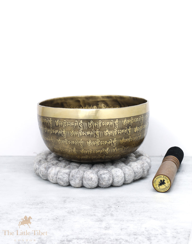 Tibetan Vajra/Dorjee Singing Bowl for Reiki Healing - EC85