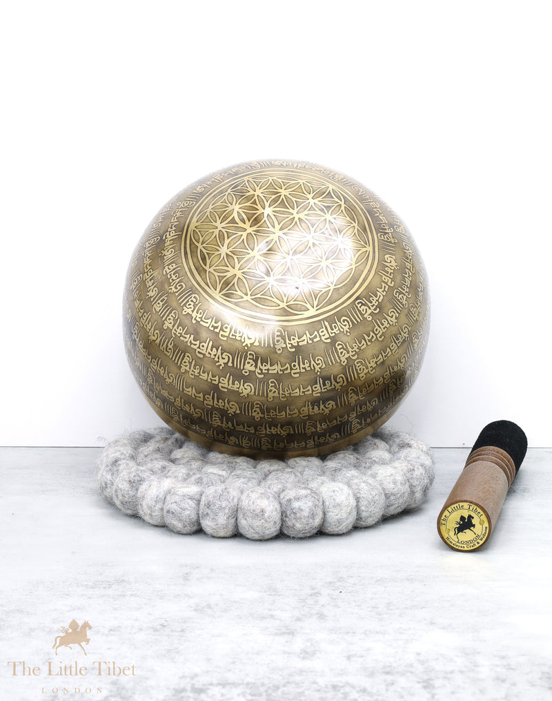 Tibetan Vajra/Dorjee Singing Bowl for Reiki Healing - EC85