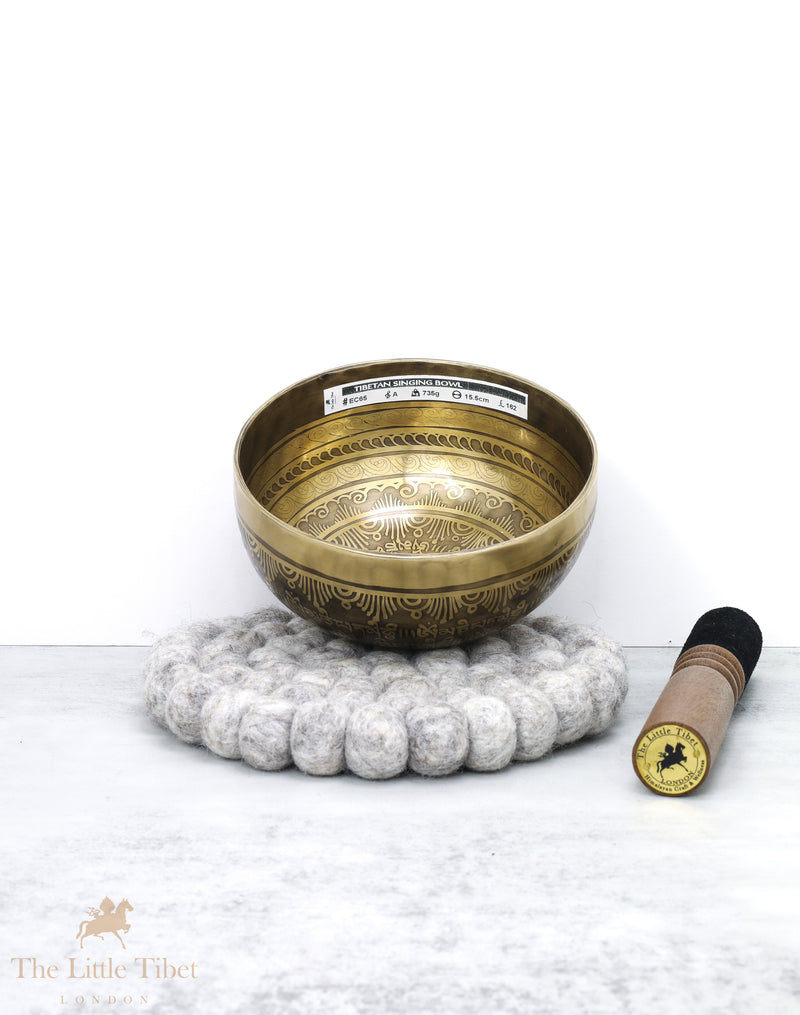 Chakra Healing OM Tibetan Singing Bowl - EC65