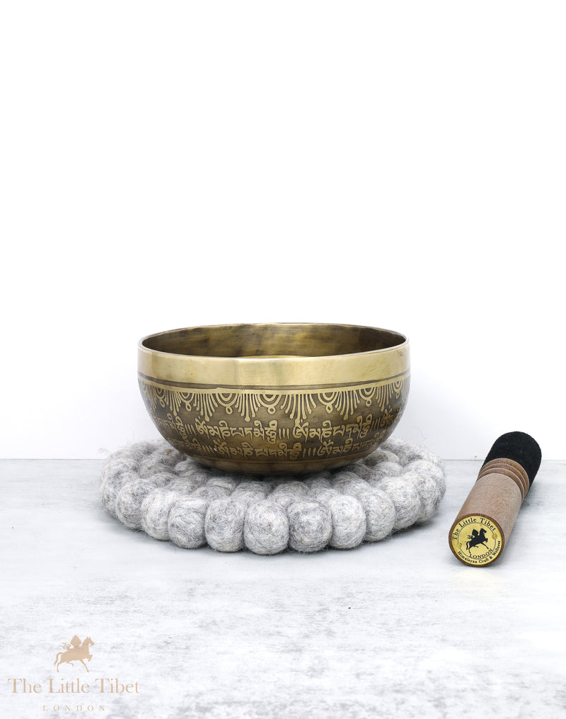 Chakra Healing OM Tibetan Singing Bowl - EC65