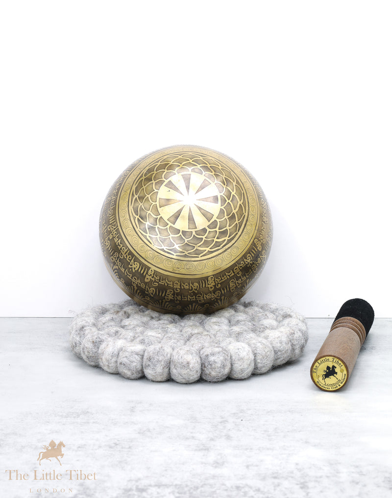 Chakra Healing OM Tibetan Singing Bowl - EC65