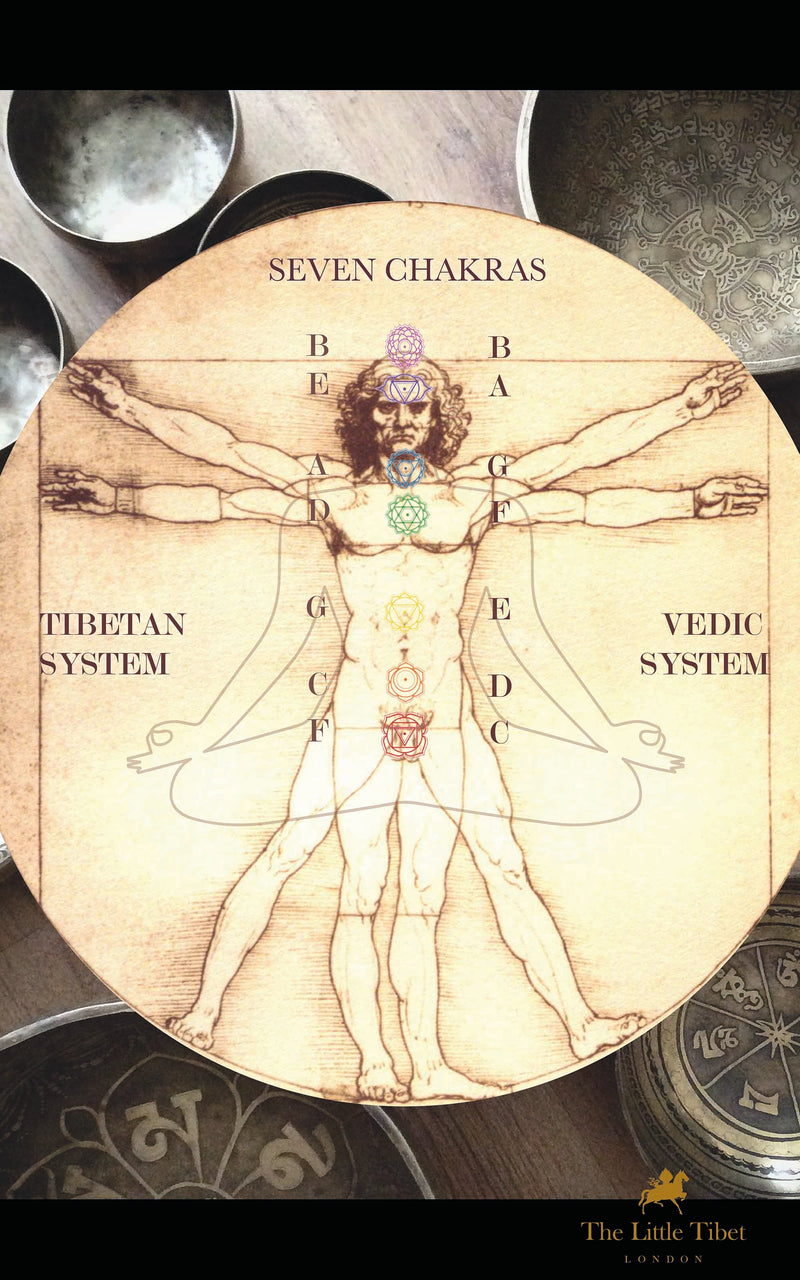 seven chakras diagram vedic system tibetan system